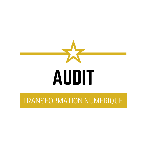 transformation numérique audit
